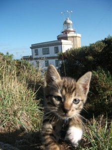 Juan Carlos Finesterre